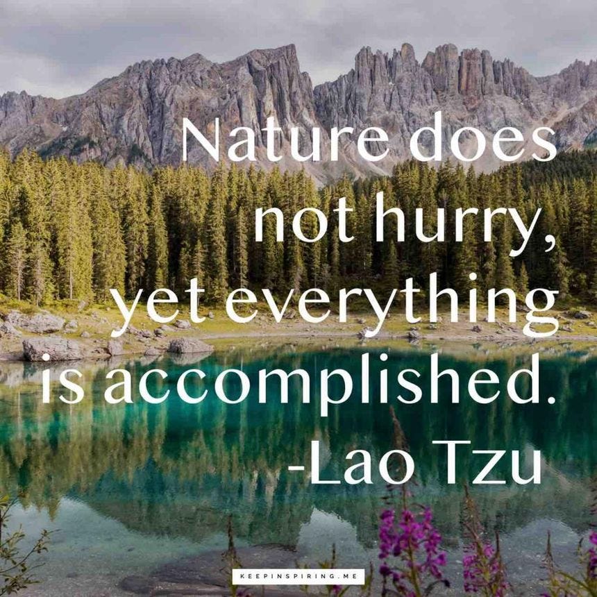 Lao Tzu quote "Nature does not hurry, yet everything is accomplished"