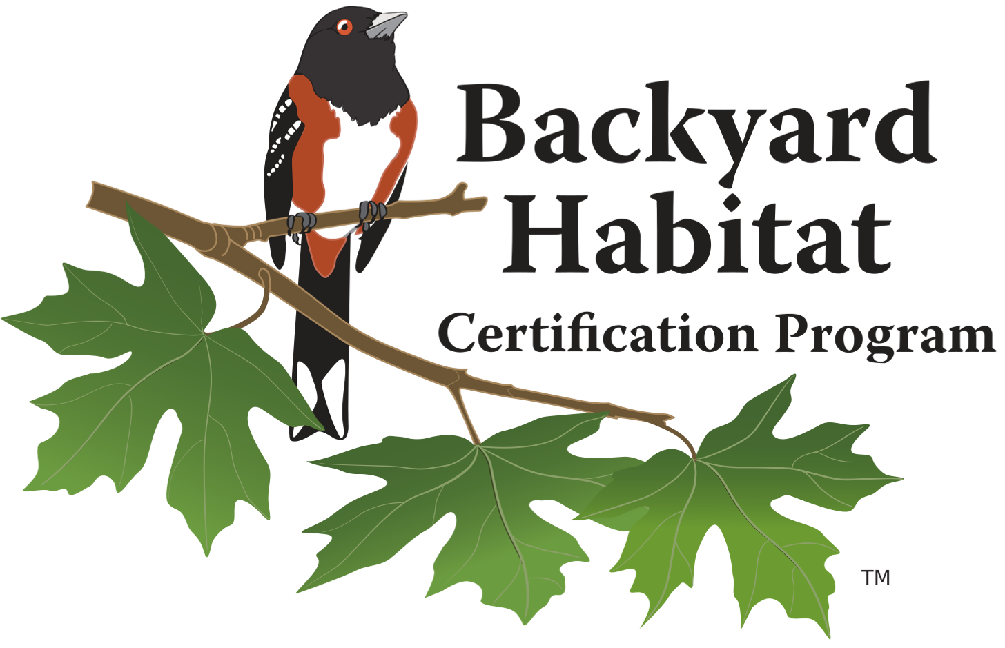 Backyard Habitats Logo