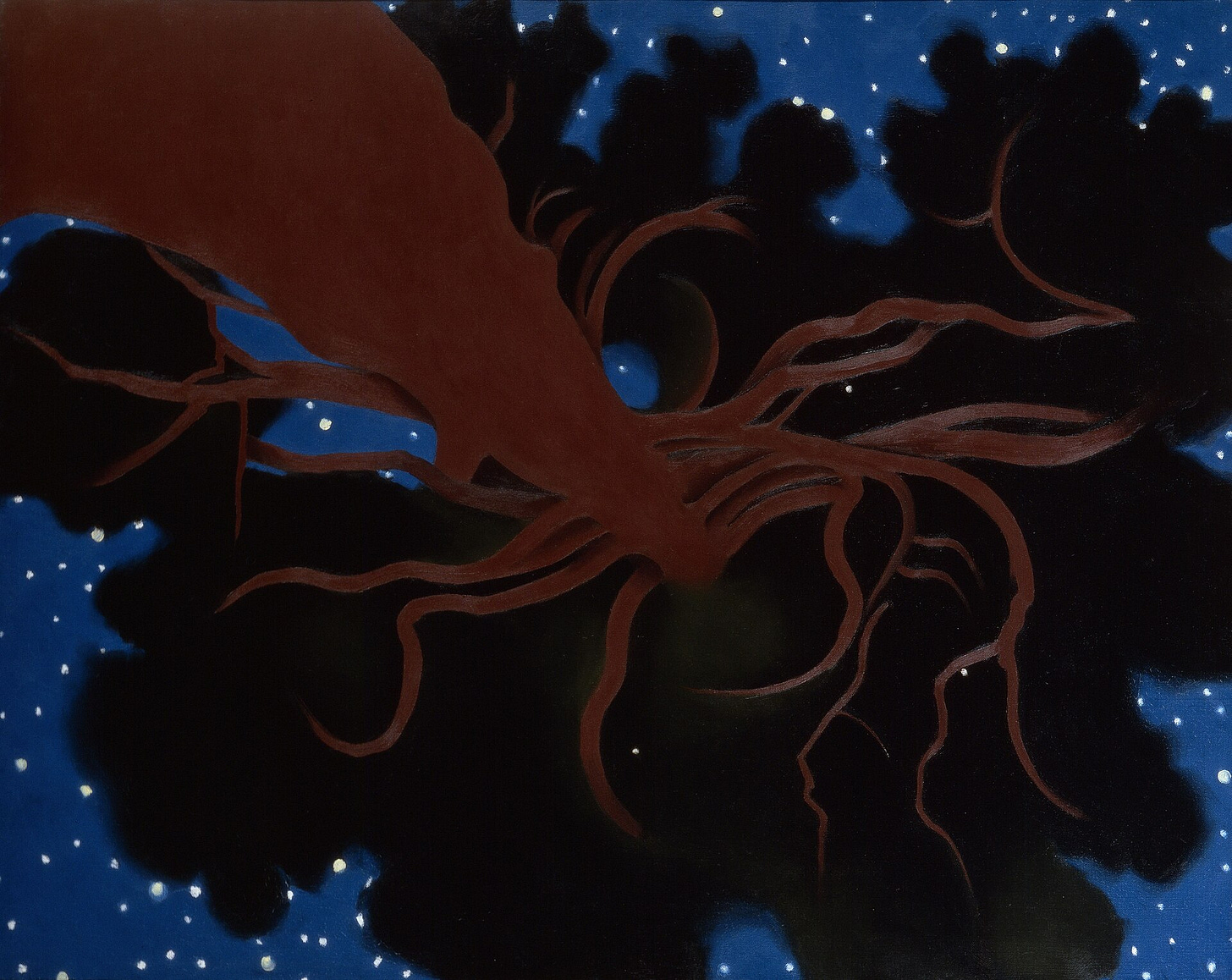 A tree viewed from below, the trunk dark brown the canopy black and through the branches, a night sky dotted with bright stars A tree viewed from below, the trunk dark brown the canopy black and through the branches, a night sky dotted with bright stars