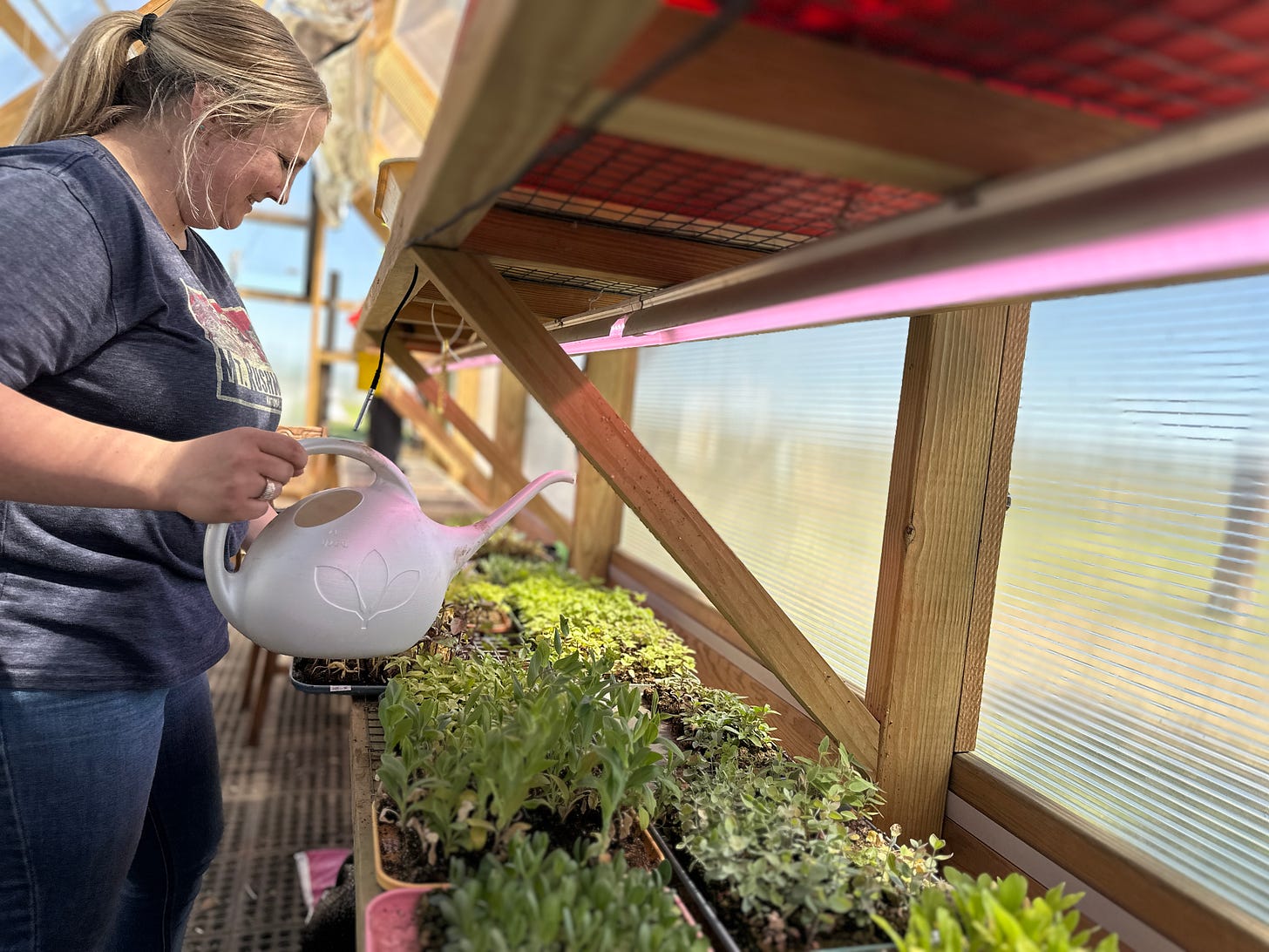 Anna waters seedlings with watering can in greenhouse