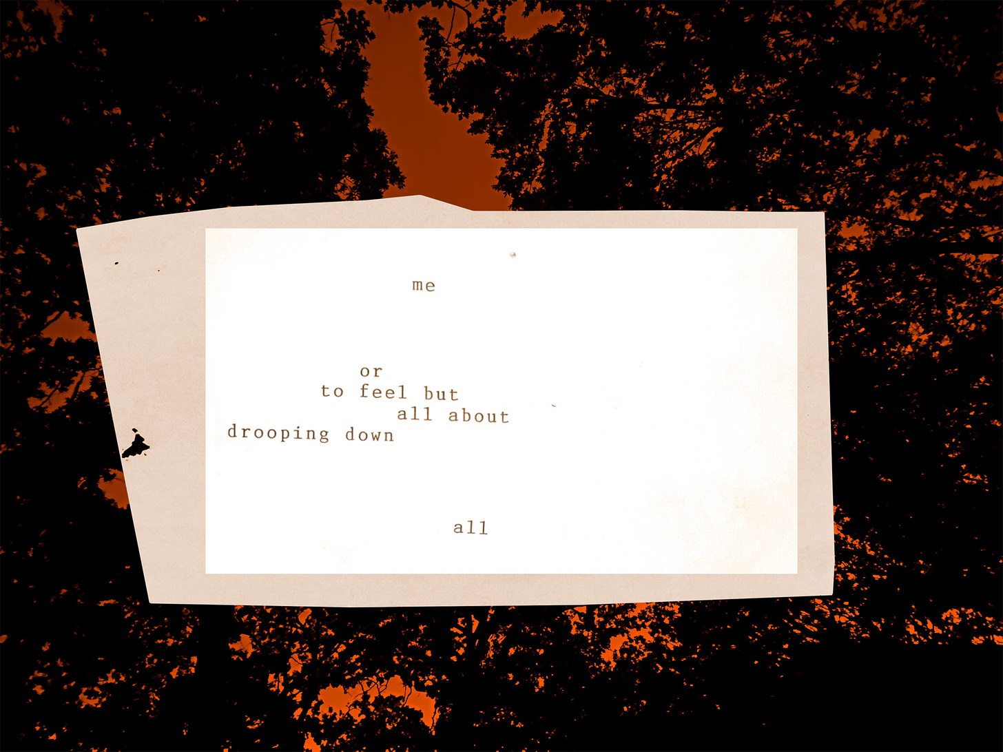 A typed poem with the words 'me or to feel but all about drooping down all' on a white sheet of paper. The paper is slightly tilted and superimposed on a dark background of silhouetted trees with an orange hue.