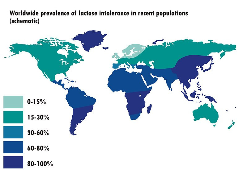 File:Worldwide prevalence of lactose intolerance in recent populations.jpg