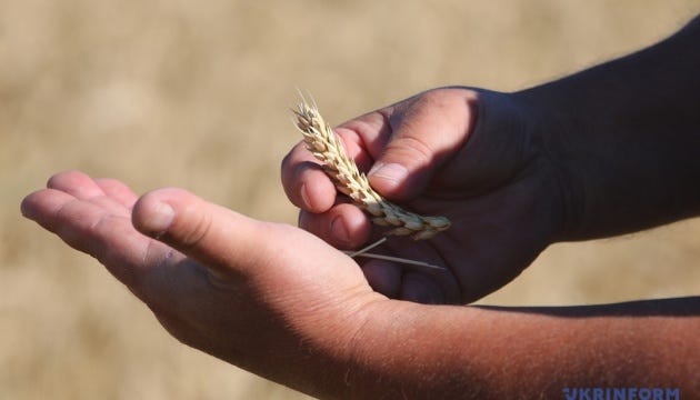 Methodology for determining country of origin of grain to be finalized by end of August - Agrarian Policy Ministry 