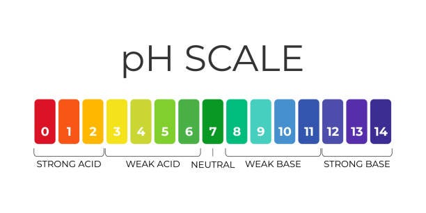 279 Ph Scale Illustrations & Clip Art - iStock | Ph Level Chart, Ph Scaler  - iStock | Ph test, Ph value, Litmus paper