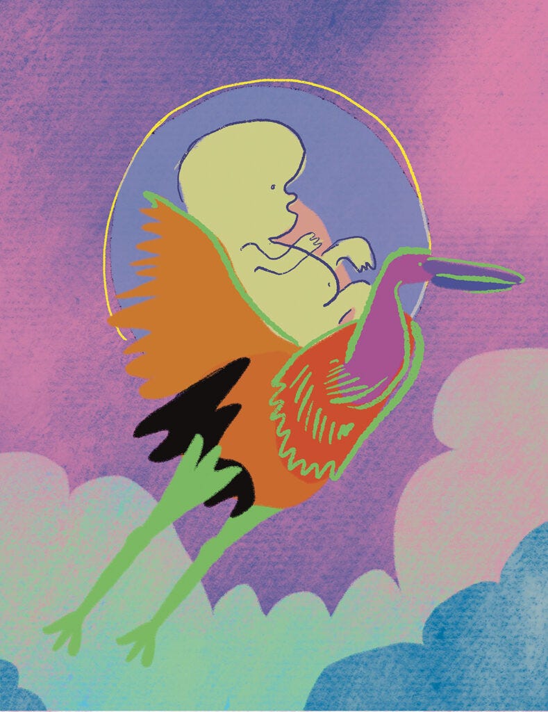 A colorful illustration of a stork carry a baby on their back and flying above the clouds.