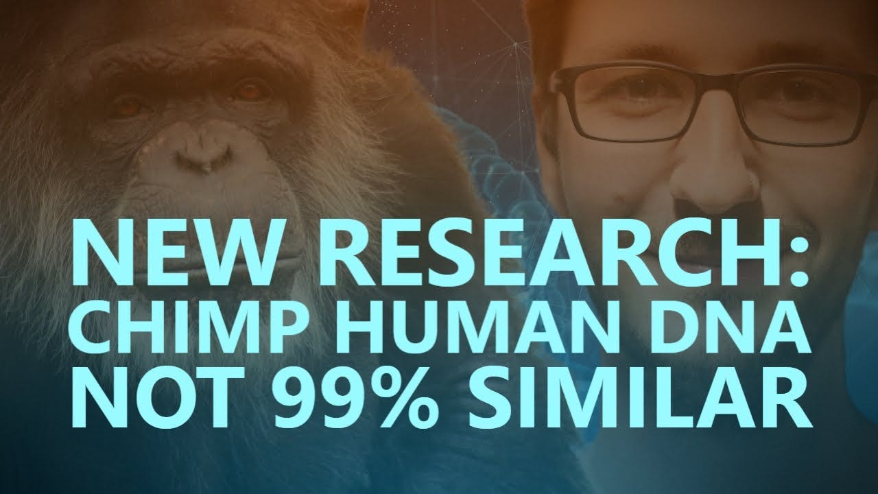 New research: Chimp Human DNA not 99% similar - YouTube