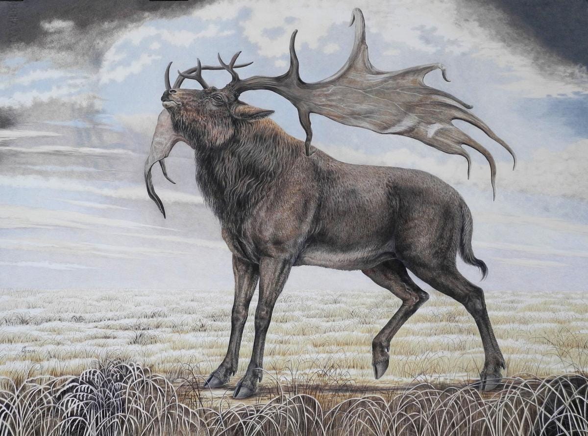 Irish Elk | Wallhanging by Dr. Elke Gröning | Artists for Conservation