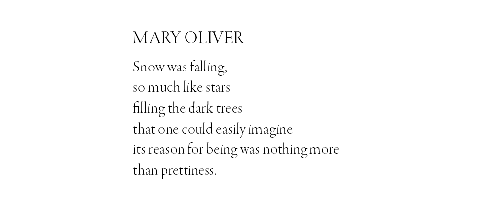 An excerpt from a poem by Mary Oliver. Snow was falling, so much like stars, filling the dark trees, that one could easily imagine, its reason for being was nothing more than prettiness.