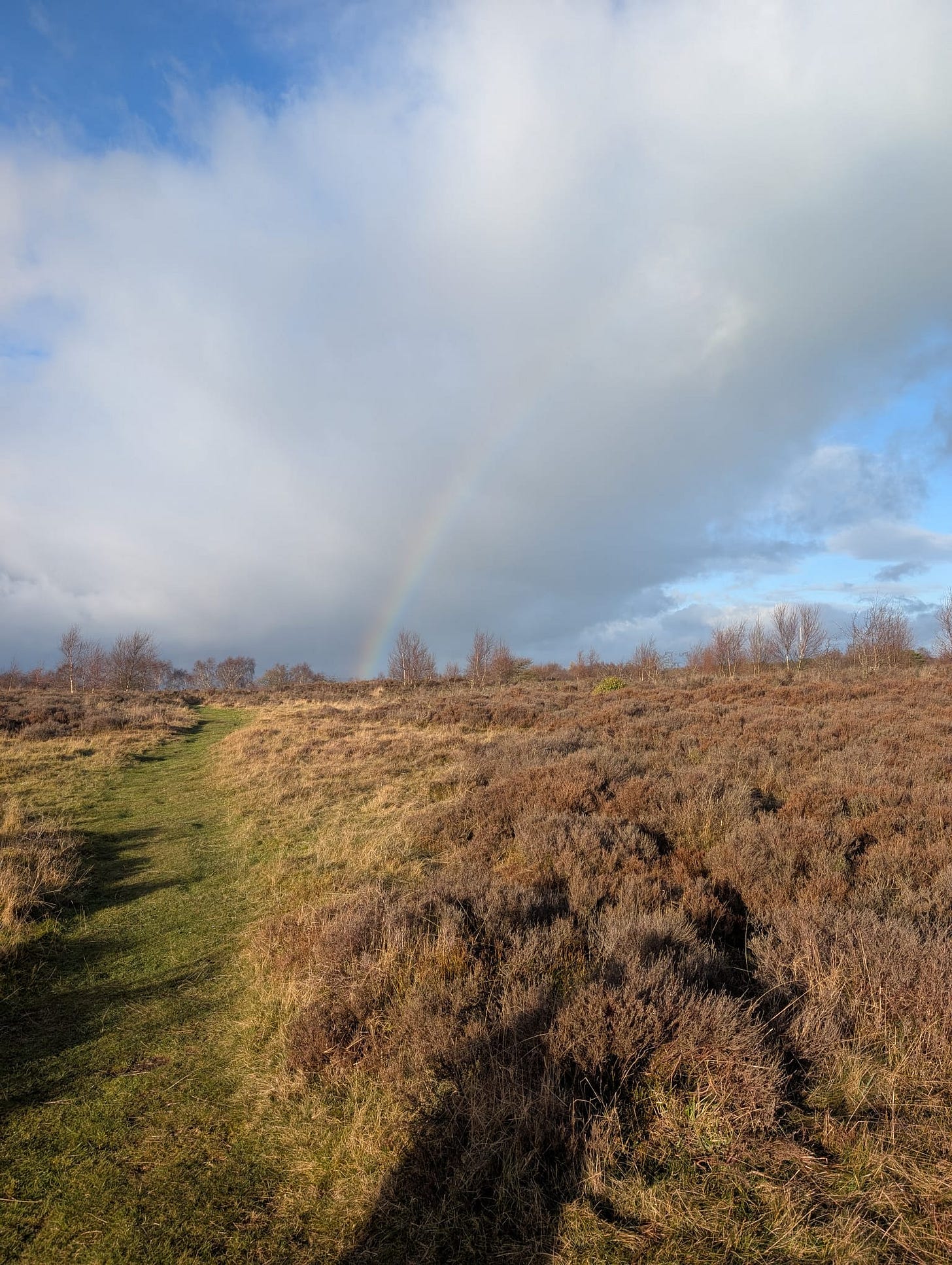 Winter scene on Stanton Moor in the Peak District National Park