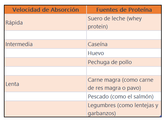 Velocidad de absorción de diferentes fuentes de proteína