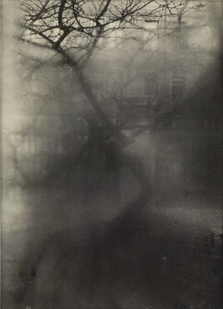 A monochrome photograph in muted greys. Features a tree and a streetscape partially obscured by condensation on a window.