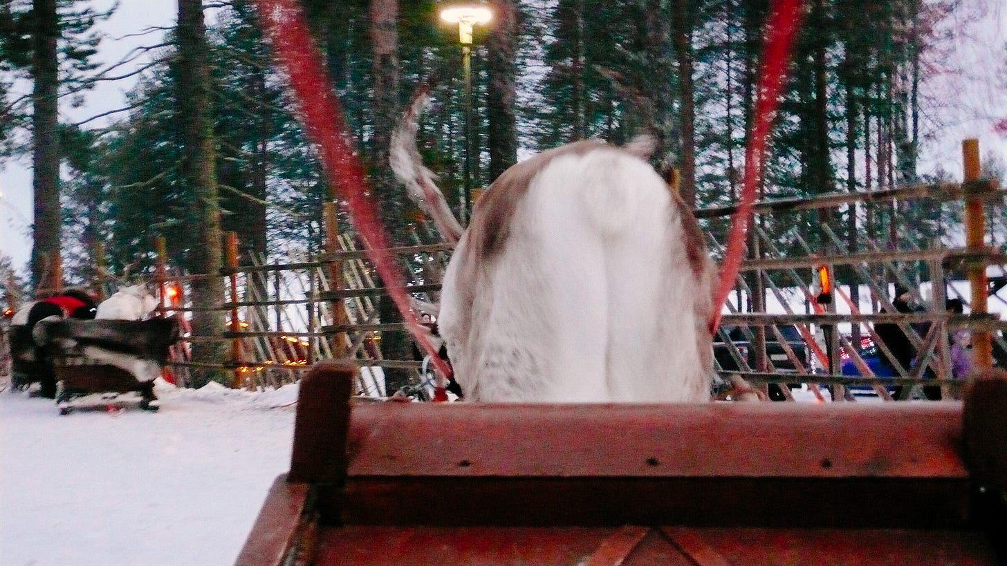 the view of a reindeer's arse from on a sleigh. the view of a reindeer's arse from on a sleigh.