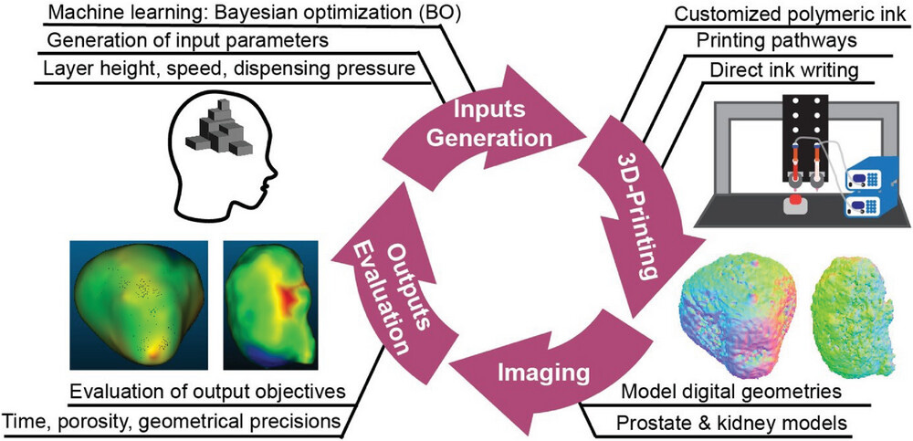 Flow-chart schematic of multi-objectiveBO assisted 3D-printing of presurgical organs models with three input parameters in tangent with four output parameters. The cycle starts with generating input values based on the current dataset of inputs and corresponding outputs through BO, which are used to produce printing pathways for direct-ink-writing (DIW). After the model is 3D-printed via DIW, image processing is applied to the model to reconstruct a mesh object. The mesh object is then adjusted for comparisons with the ideal model for measurements regarding positive and negative geometrical precisions. The time of model printing and porosity measurements are also calculated. Once all the output measurements are completed, their individual values are re-entered into the BO algorithm to yield new input parameters.