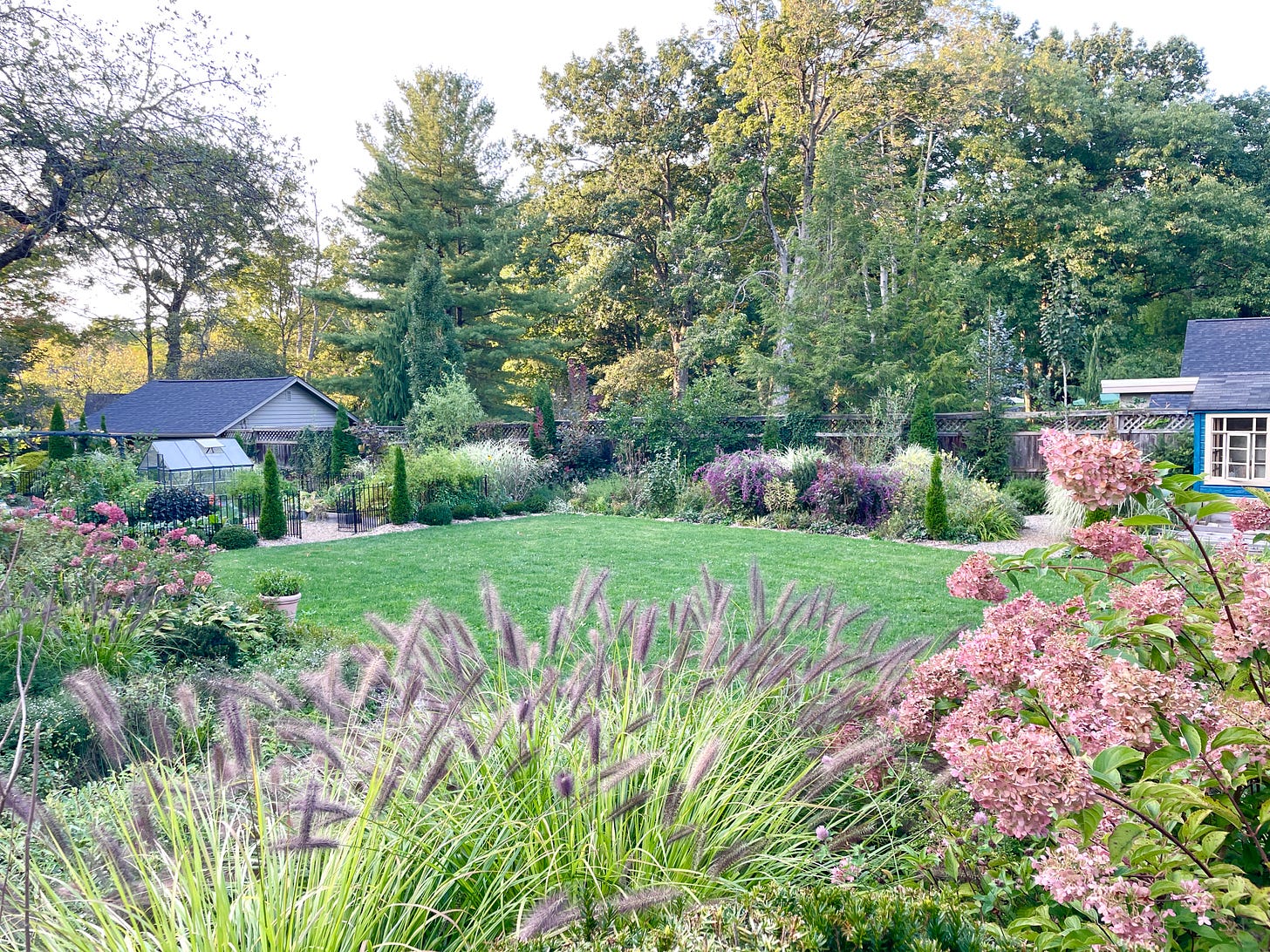 Our back lawn and garden in September