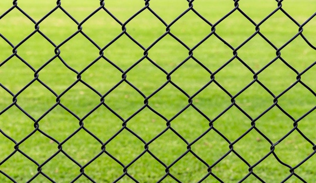 green metal fence during daytime