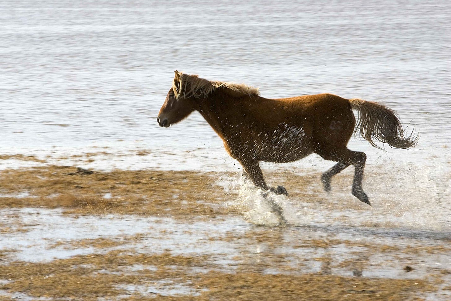 Image: Stephanie fotografie / shutterstock.com