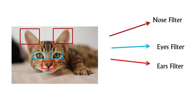 Image Classification Using CNN -Understanding Computer Vision