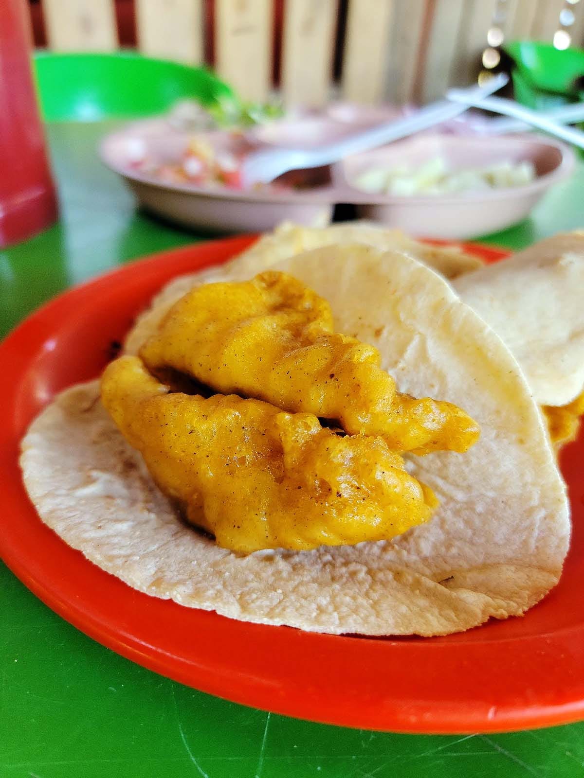A fish taco, waiting to receive condiments. 