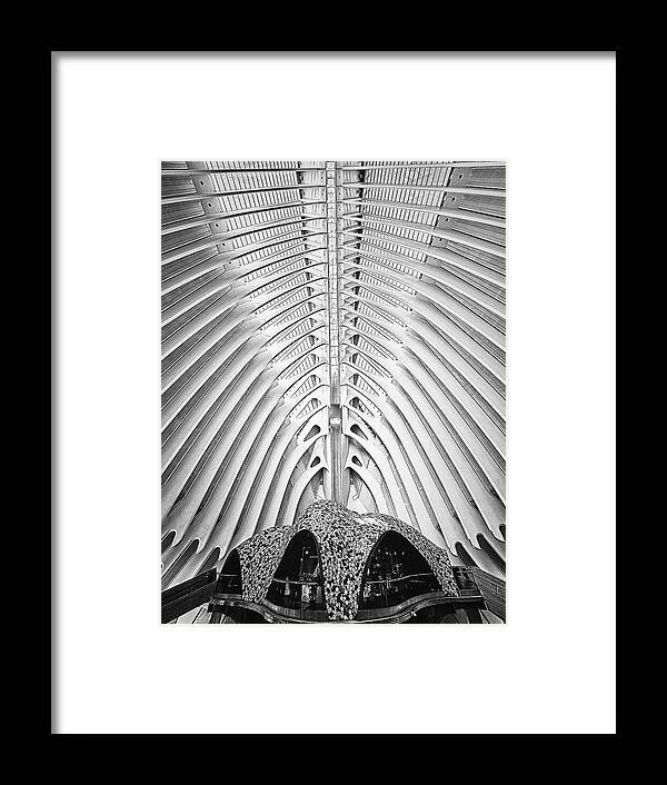 Valencia’s Museu de les Ciències by Travel Essayist