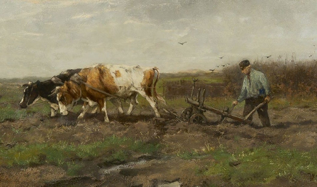 Scherrewitz J.F.C.  | Johan Frederik Cornelis Scherrewitz | Paintings offered for sale | Ploughing farmer, oil on canvas 40.1 x 80.4 cm, signed l.r.