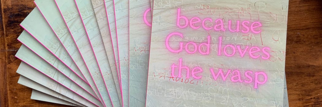cover of my book, "because god loves the wasp" - hot pink font on a scribbly background