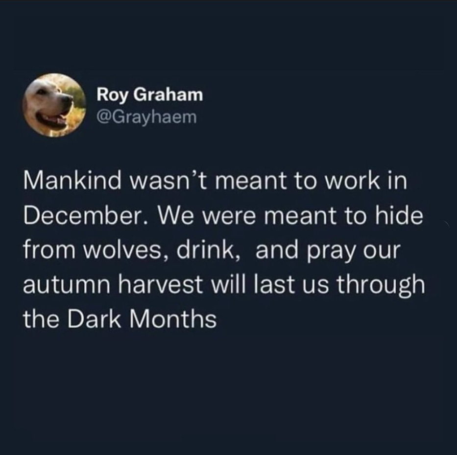 An image which is a reshare of a Twitter posts. It shows a post from Roy Graham @Grayhaem and says: "Mankind wasn't meant to work in December. We were meant to hide from wolves, drink and pray our autumn harvest will last us through the Dark Months".  