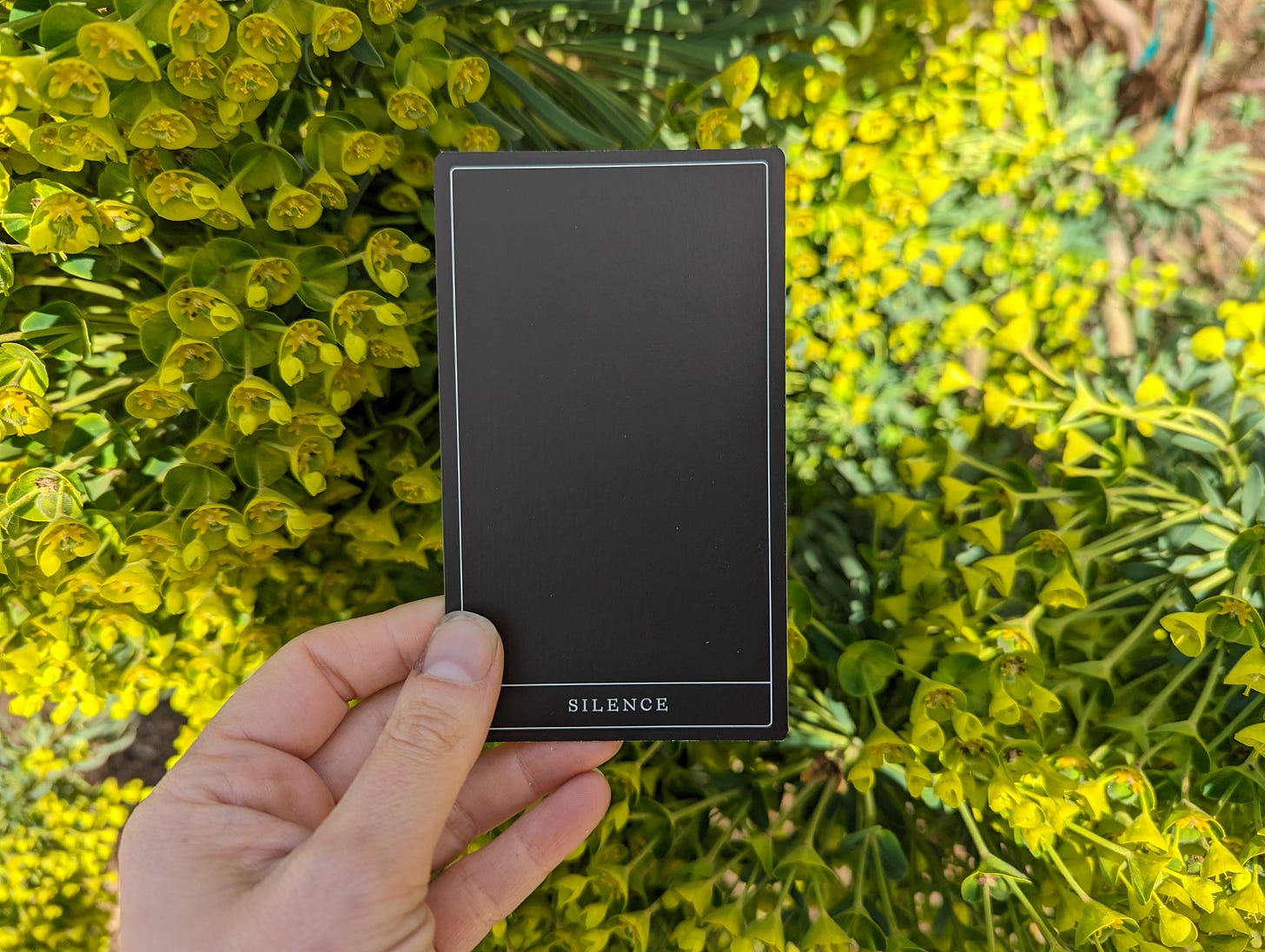 A hand holds up an oracle card that has a black background and white text that reads "silence." The oracle card is being held up in a garden, against the backdrop of a flowering yellow and green bush.