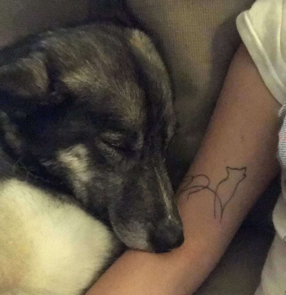 Snort the Siberian husky snuggling up against my tattoo she inspired