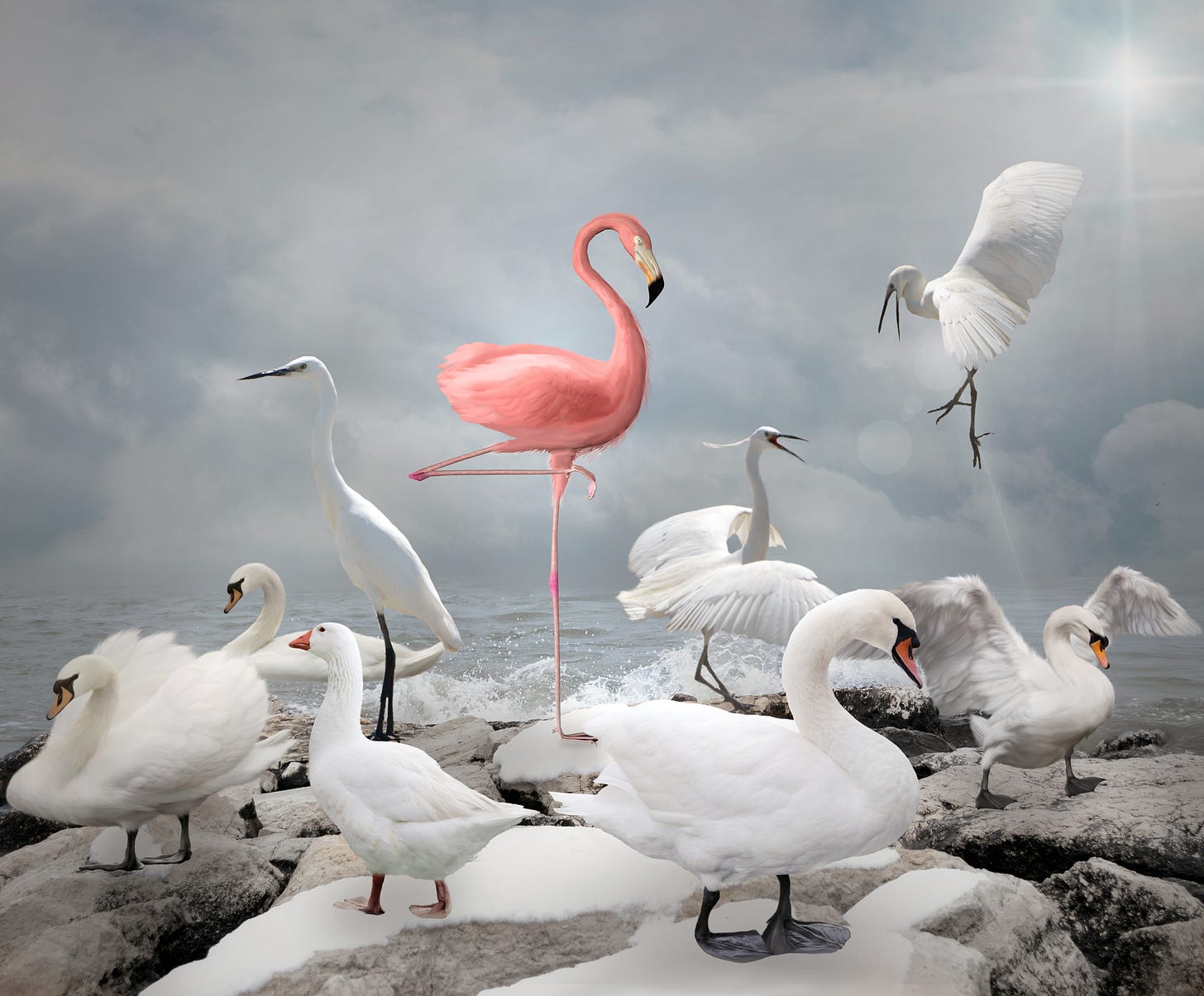 Are You Drowning in the Sea of Sameness? | Storypowered