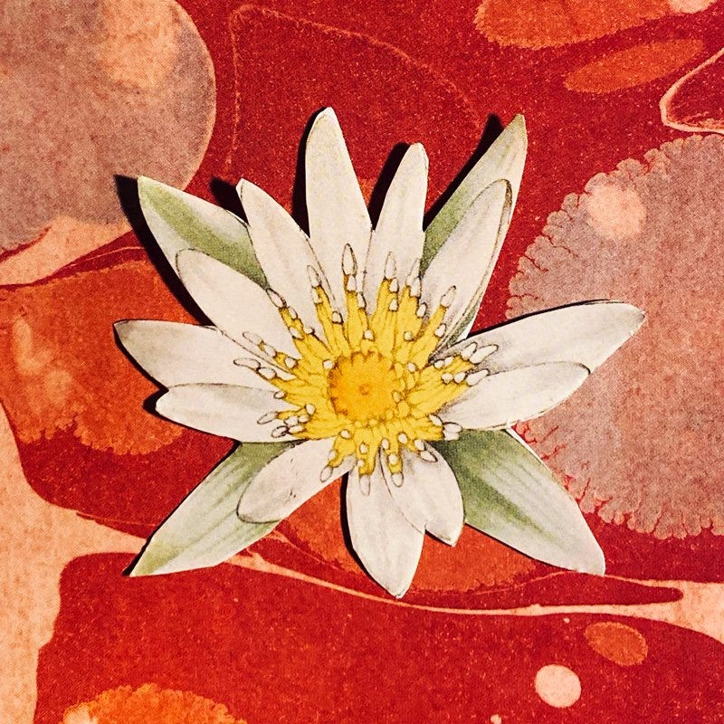 A collage by Helen Sword featuring a red 'pond' background with a white lotus flower at the fore.