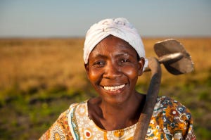 Agatha Akakandelwa working in her tomato field in Nambinji Village