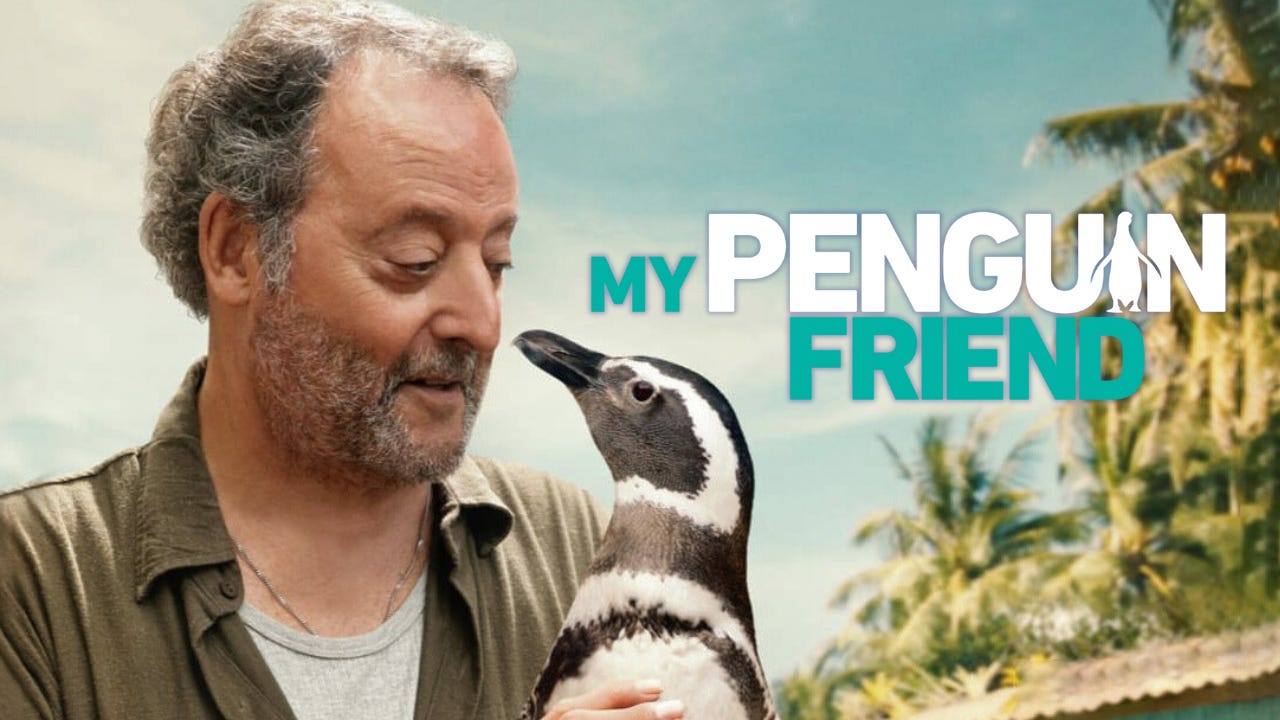 My Penguin Friend (Christian Movie Review) - The Collision