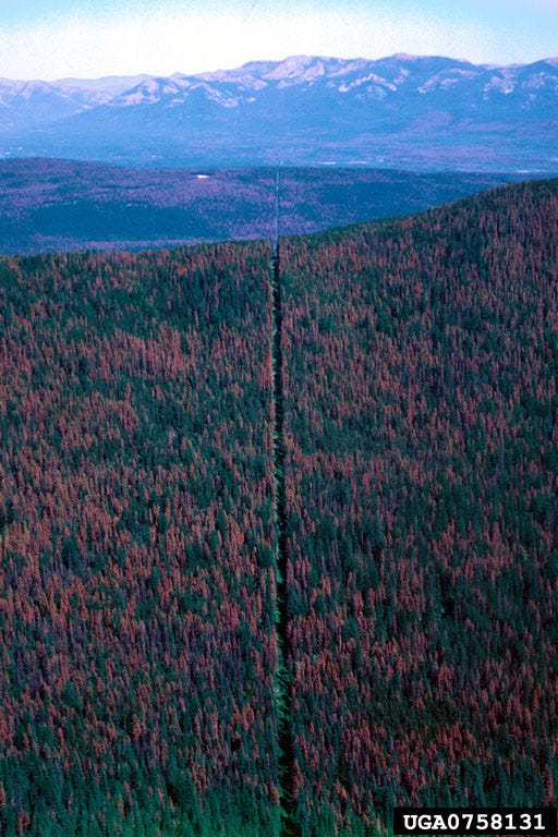 Border between the US and Canada - Imgur