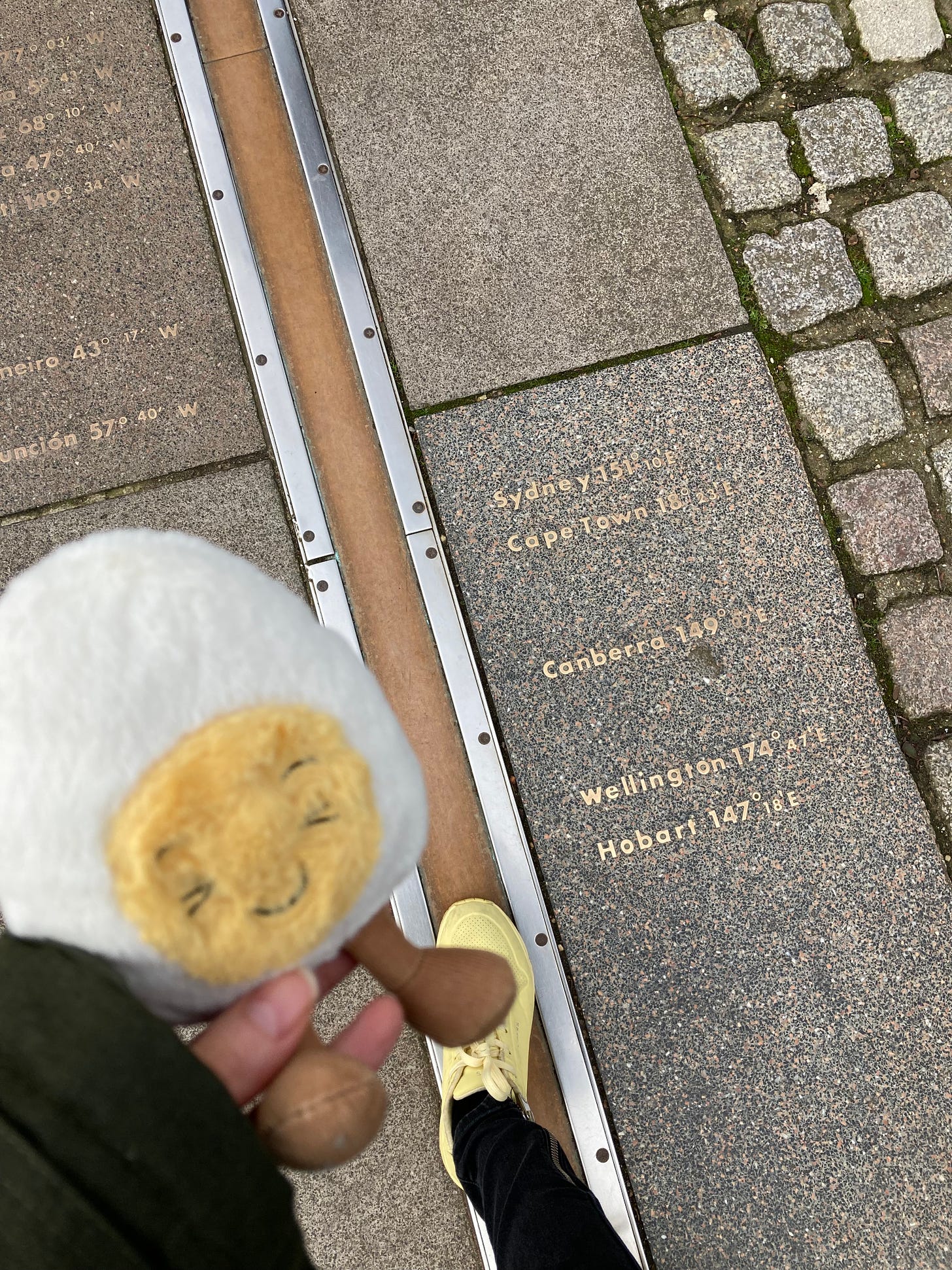 Dippy on the prime meridian line, which is marked in a bronze metal running through paving stones. We are standing next to Sidney, Cape Town, Canberra, Wellington and Hobart markers