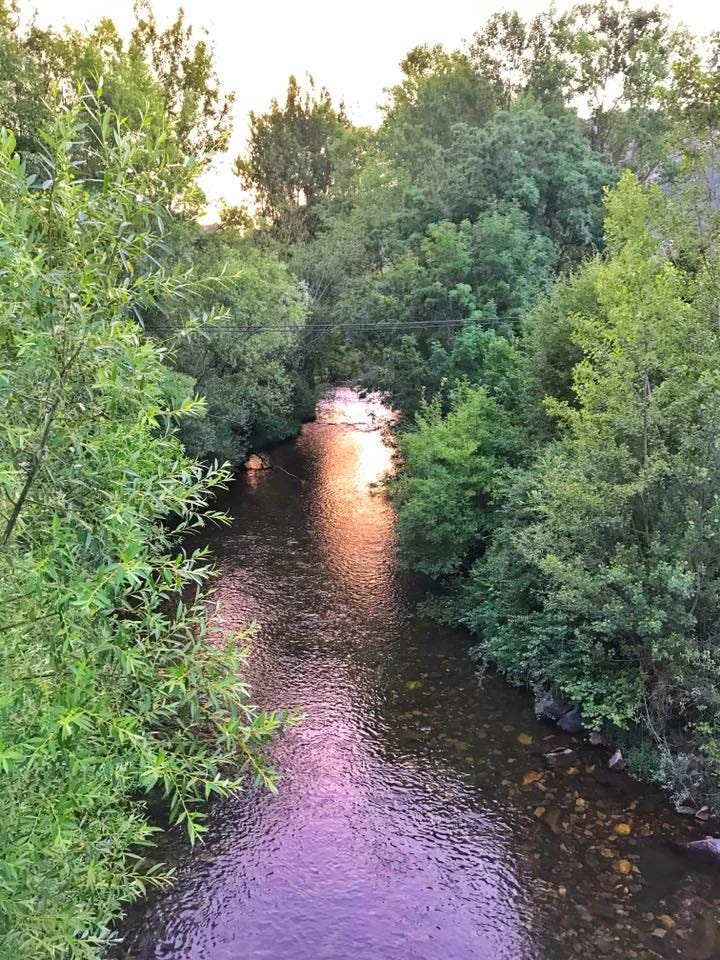 un fiume colorato dal sole che serpeggia tra gli alberi