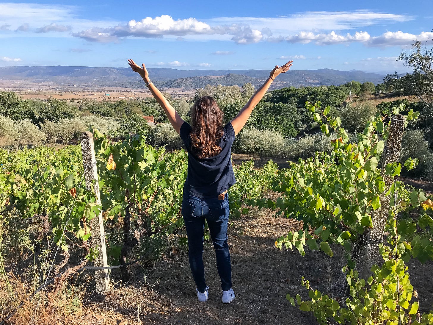 wine tasting in Sardinia