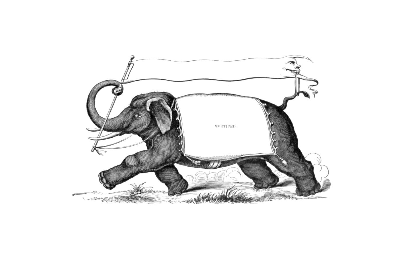 An Elephant Carrying a Banner with a Jester's Face Looped Through a Ring Stuck on the Elephant's Tail - it's a confusing image.