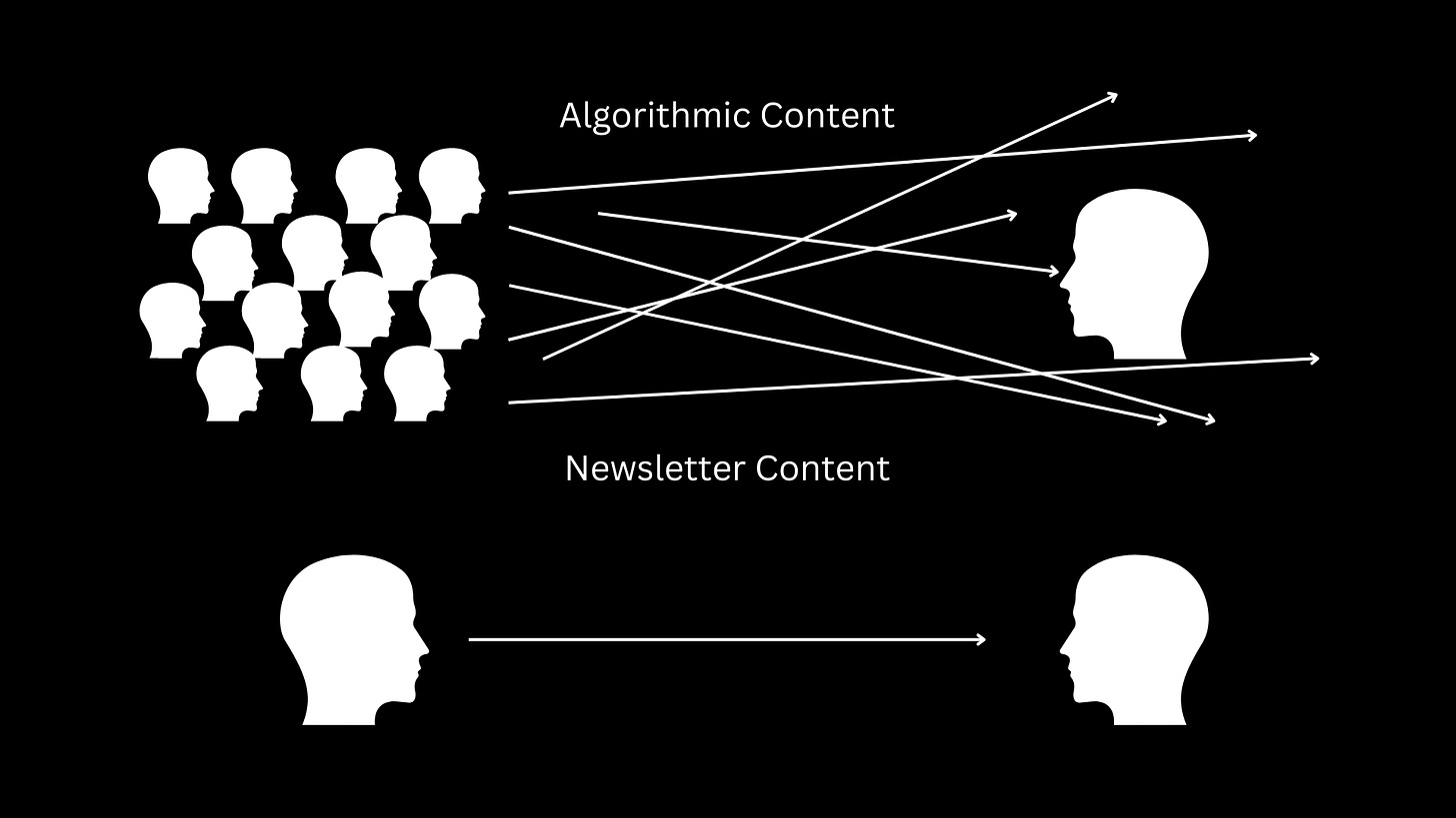 algorithmic content is noisy while newsletter content is direct