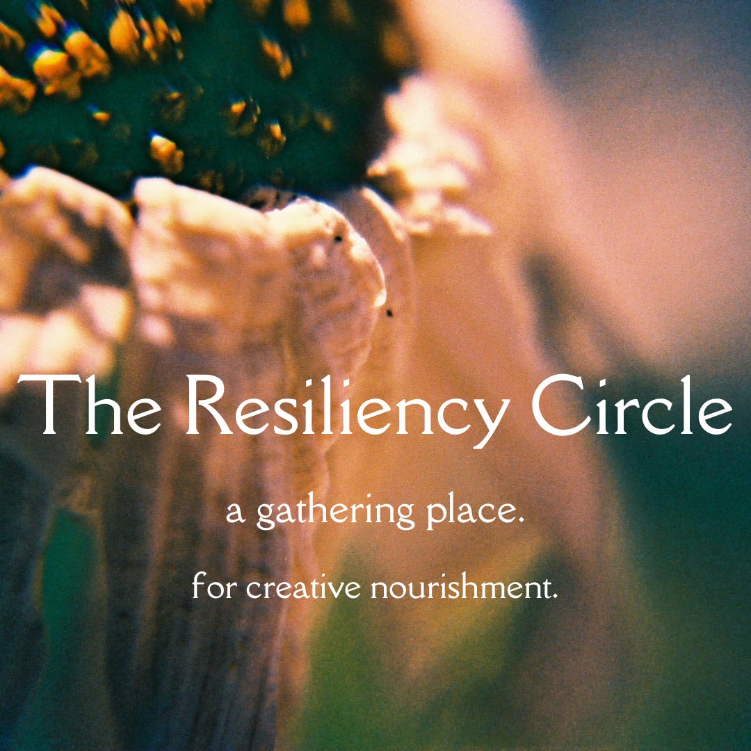 A macro shot of a dying white flower, with white text overlaid that reads: The Resiliency Circle. a gathering place, for creative nourishment.