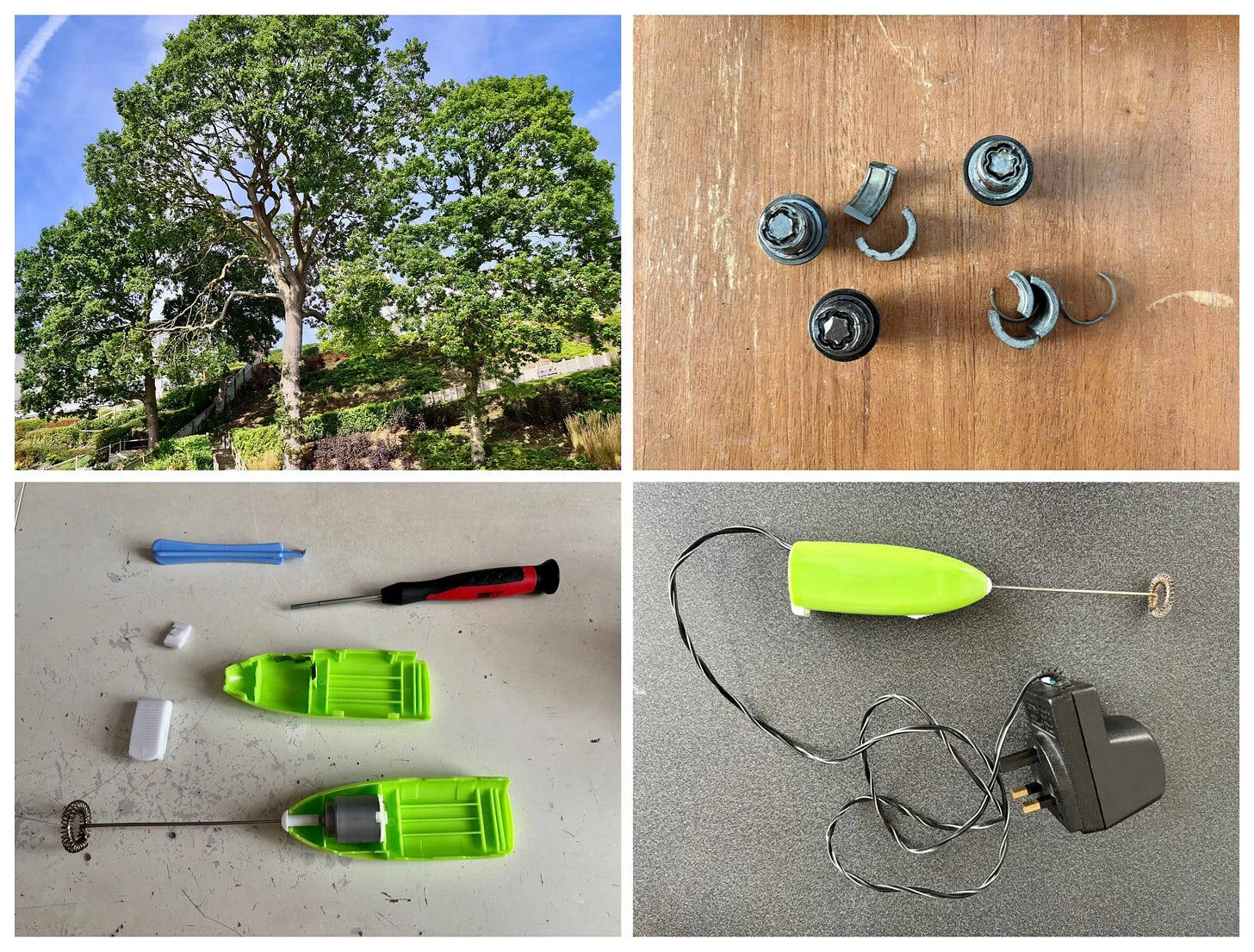 A collage of four images. Some large trees on a sunny day; three locking wheel nuts; a coffee frother in pieces; and the coffee frother connected to a mains power supply.
