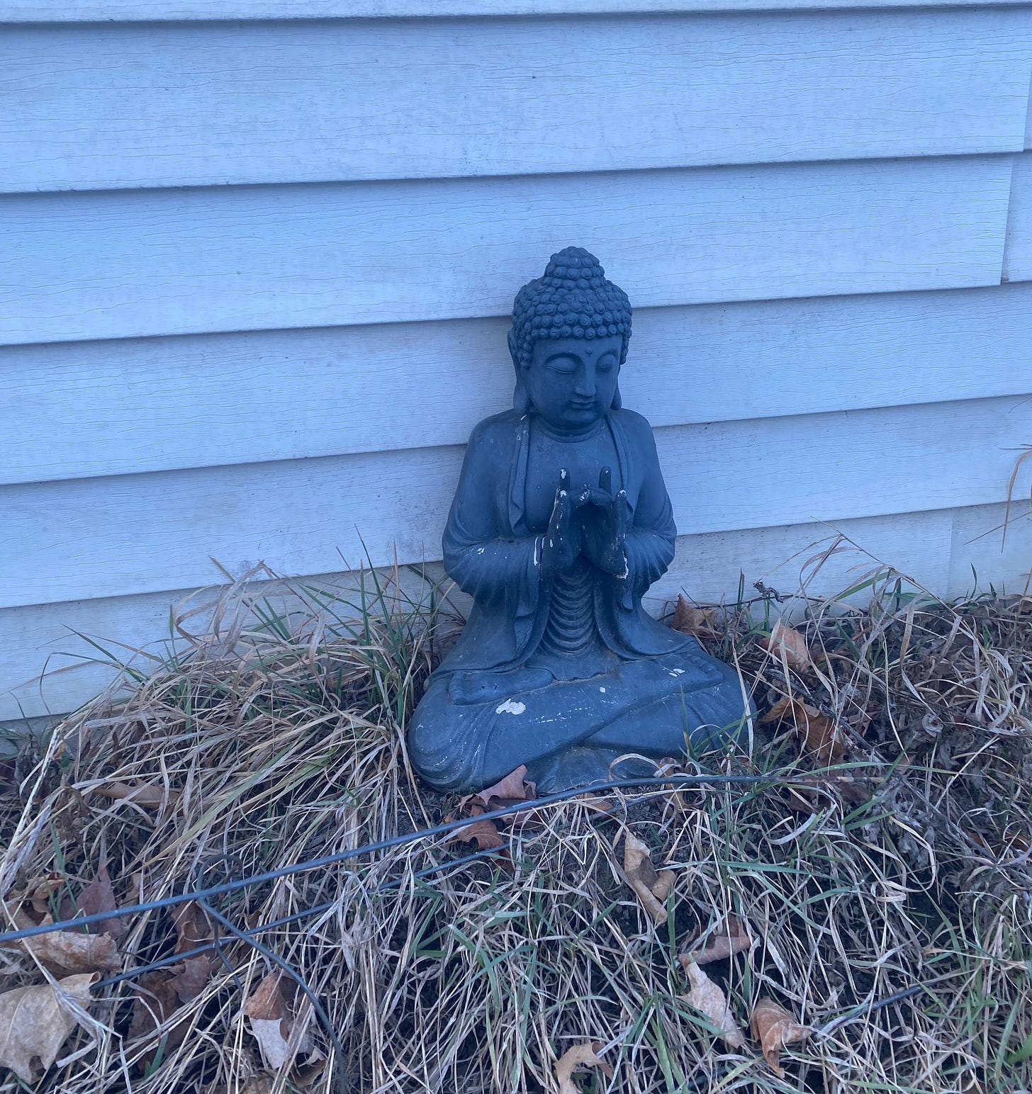 a statue of a Buddha sits on the grass