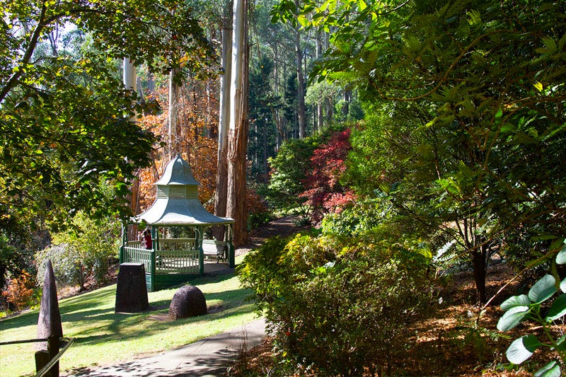 Pops of colour inside Alfred Nicholas Memorial Garden in the Dandenongs.