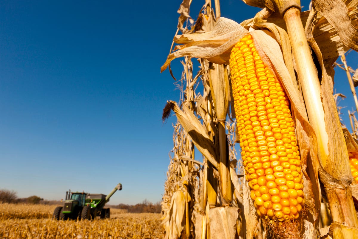 How Corn Ethanol for Biofuel Fed Climate Change | Civil Eats