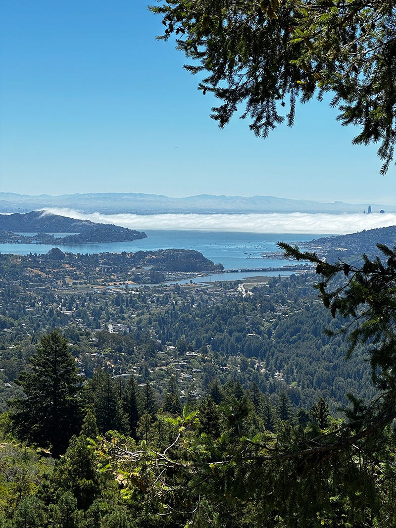This week's photo is of the fog rolling in, as see from Mount Tam