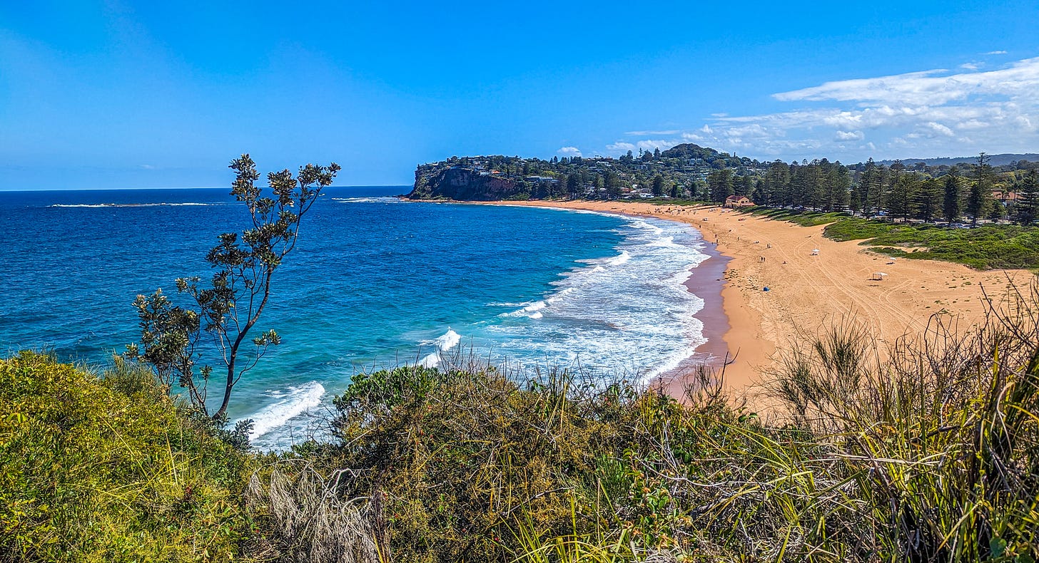 One of Sydney's Northern Beaches seen from a headland, the long sandy beach stretching into the distance. 