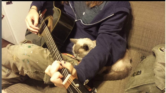 A cat snuggled up with a guy who is playing guitar.