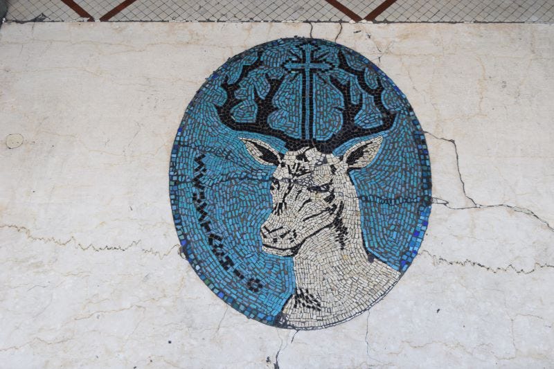 Stag in tile at cafe door