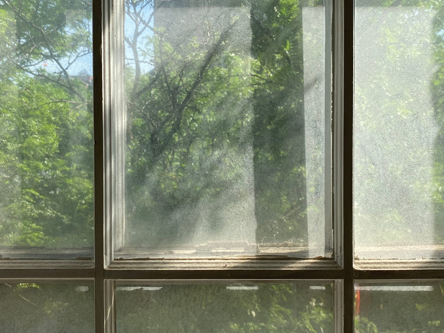 Photograph looking out a window. Through the window ou can see sunlit trees, vividly green, leaving patterns of shadow and light on the dirty glass. 