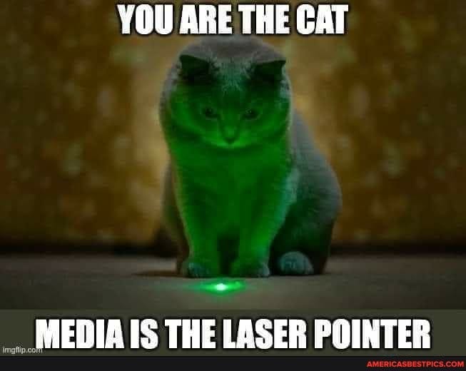 YOU ARE THE CAT MEDIA IS THE LASER POINTER - America's best ...