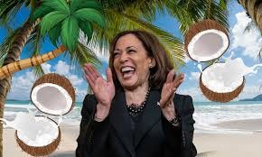 What is the Kamala Harris coconut tree ...